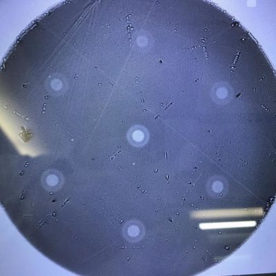 Multi Core Optical Fiber Scientific Research Products 6 hexagon arranged