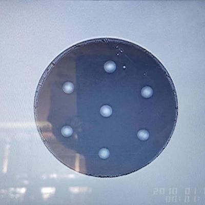 Scientific Research Products Multi Core Optical Fiber Polishing